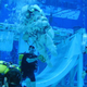 Image for article titled Microgravity University: Testing the Future of Spaceflight in Zero G